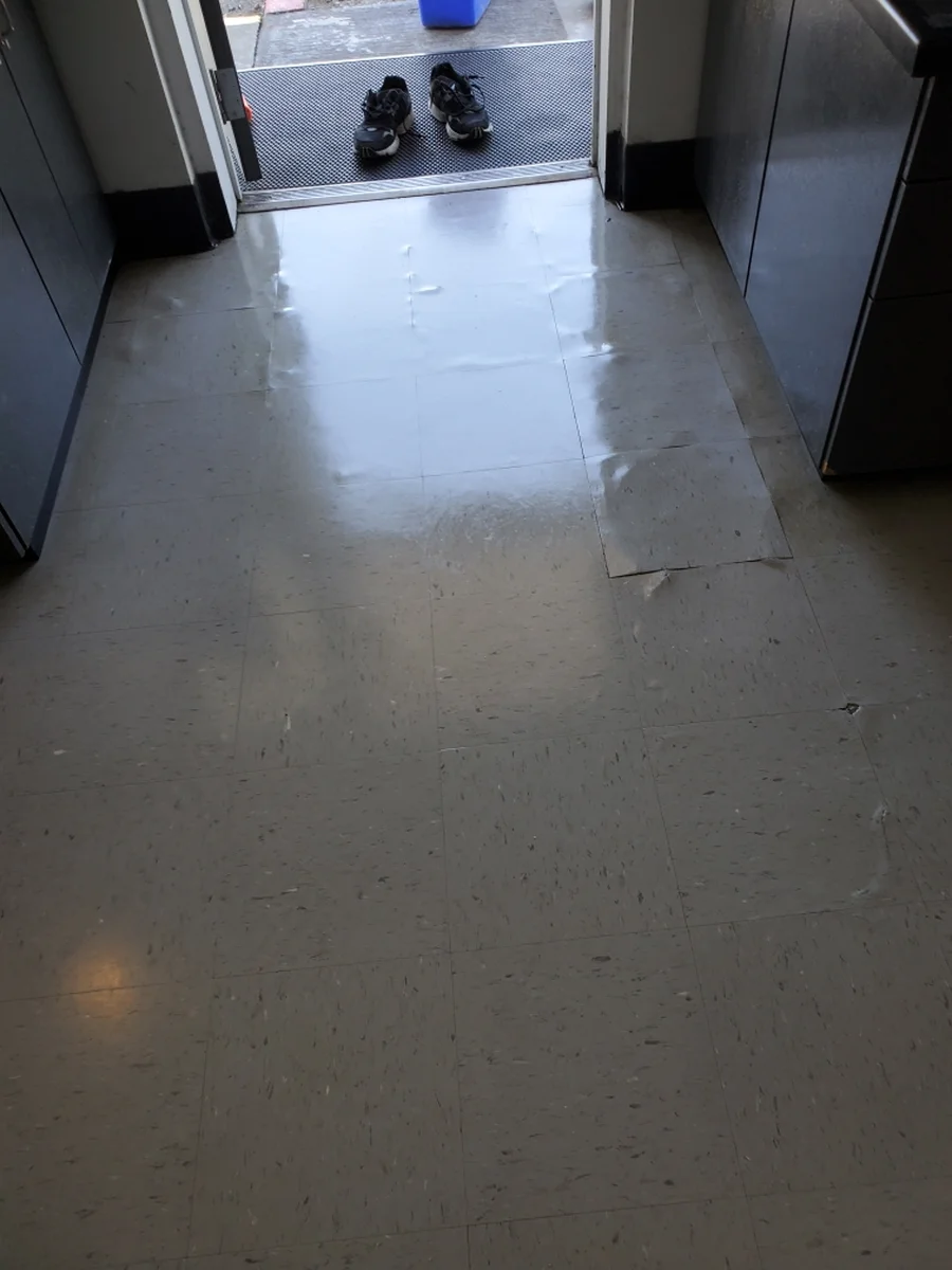 Commercial Cleaning Services